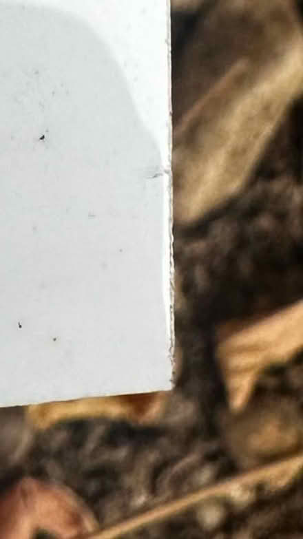 Photo of free White tiles. Good quality (OX2 Oxford) #2