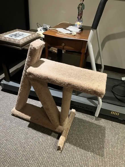 Photo of free Cat tree (Old ottawa south) #1