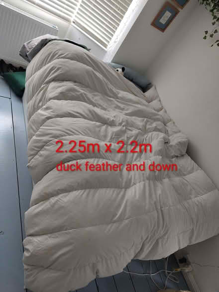 Photo of free Double quilt/duvet (Fishponds BS16) #1