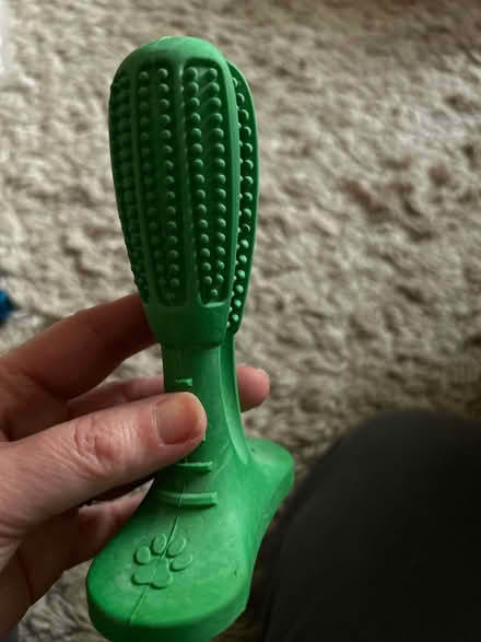 Photo of free Dog toothbrushing toy (Charminster BH9) #1