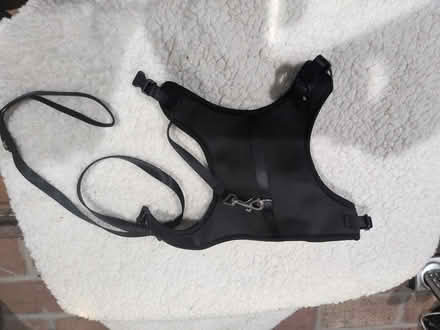 Photo of free Cat leash (20882) #1