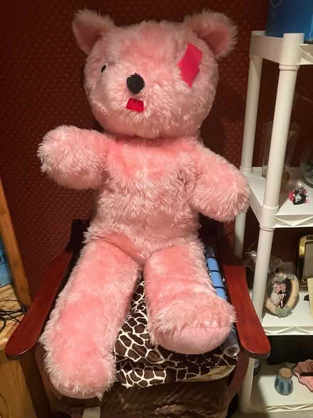 Photo of free Large stuffed bear (Kennedy road stop & shop,) #2