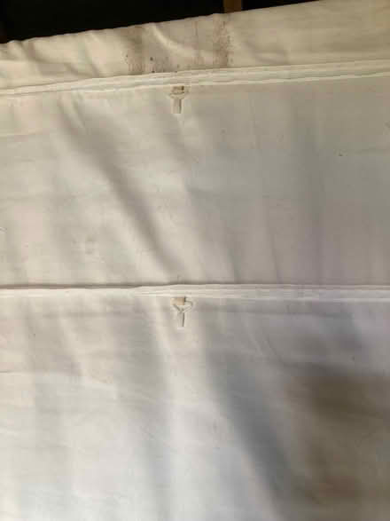 Photo of free Next Roman blind (Wymondham NR18) #4