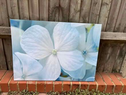 Photo of free Canvas (West Marina TN38) #1
