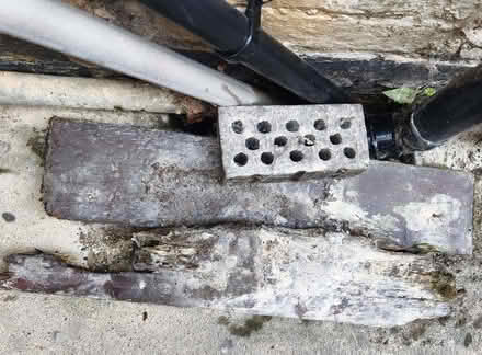 Photo of A piece of wood to cover our back garden drain (Kirkley NR33) #1