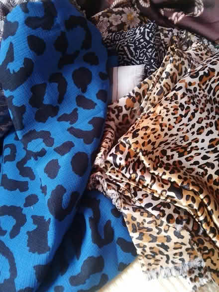 Photo of free Fabric (E5 8JF) #2