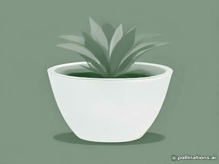 Photo of free garden: plant pot oblong (De Parys MK40) #1