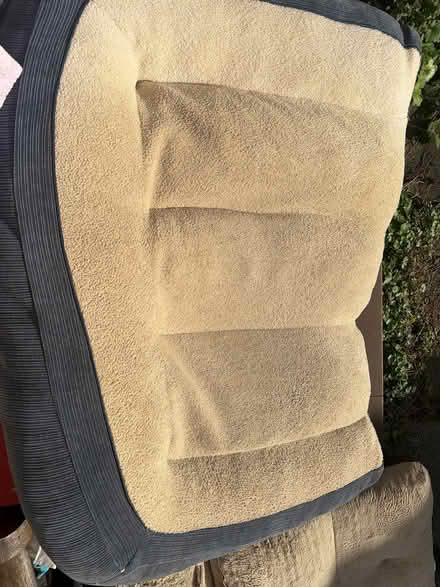 Photo of free Dog beds (Capitol Hill) #2