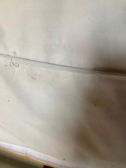 Photo of free Next Roman blind (Wymondham NR18) #3