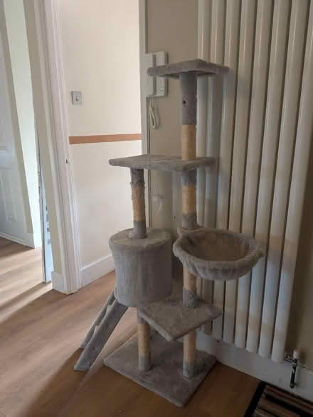 Photo of free Large multi-level cat tree tower (Teddington TW11) #1