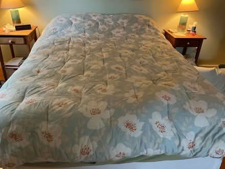 Photo of free Queen size comforter (Pepperell) #1