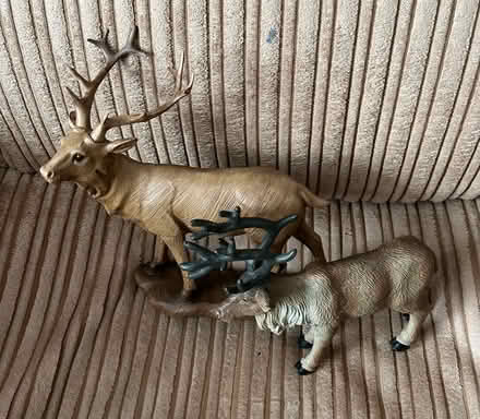 Photo of free Reindeer models (Peasholm YO12) #1