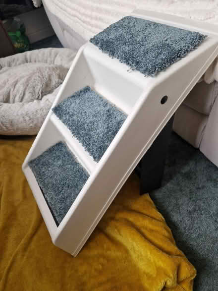 Photo of free Dog steps (SN3 Walcot) #1