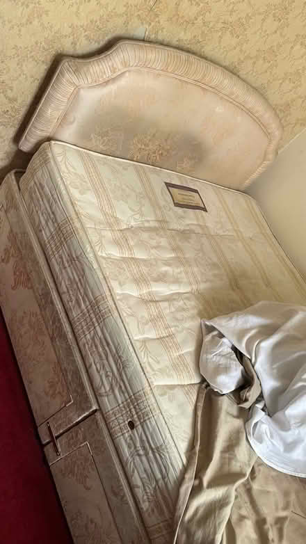 Photo of free Kings size bed, headboard and mattress (Millbank SW1P) #1