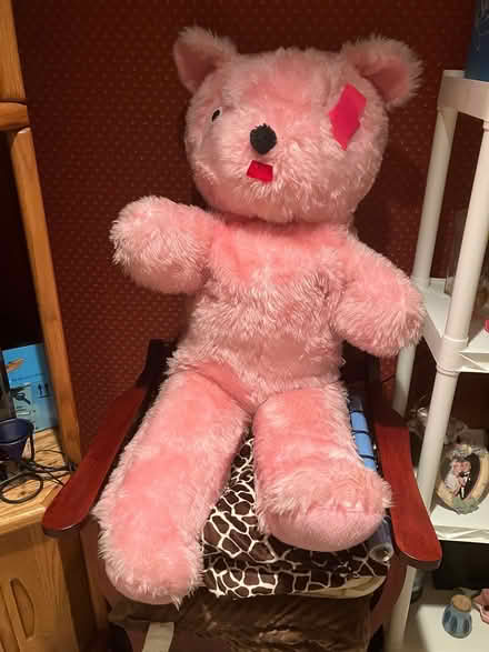 Photo of free Large stuffed bear (Kennedy road stop & shop,) #1