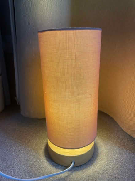 Photo of free Pink lamp (Crookesmoor S10) #2