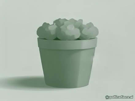 Photo of plant pots and soil (Bow E3) #1