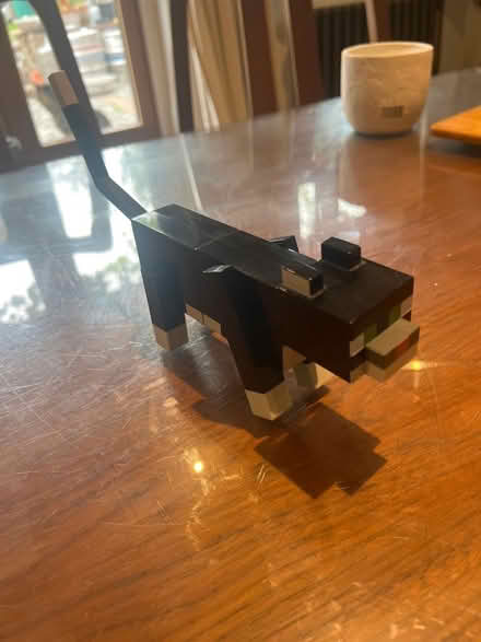 Photo of free Minecraft cat (London Colney AL2) #2