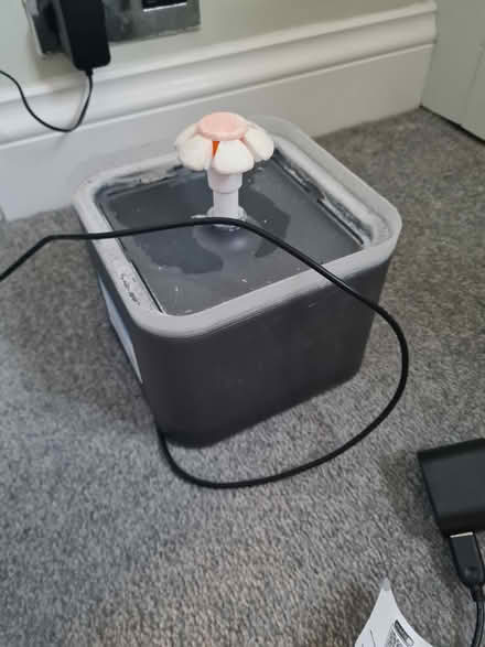 Photo of free Cat water fountain (Ewyas Harold, HR2) #1