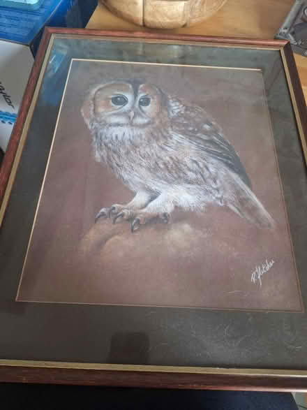 Photo of free Pictures and a wii board (Hallgarth LA9) #2
