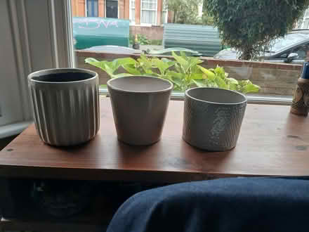 Photo of free Indoor plant pots (Brixton Hill SW2) #1