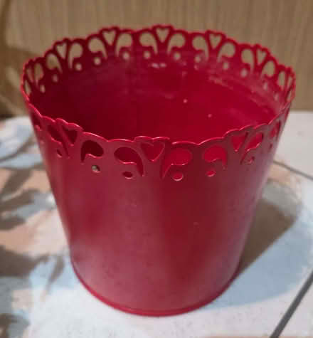 Photo of free Christmas Cactus (Chelmer Village CM2) #2