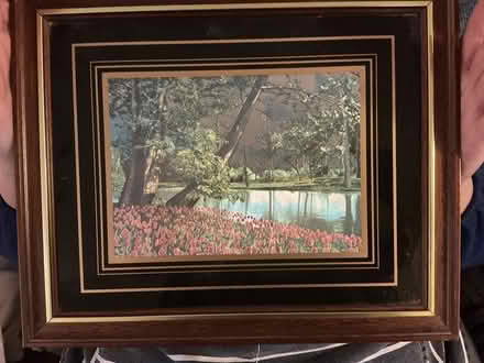 Photo of free Picture with iridescence (Stanwell Village TW19) #1