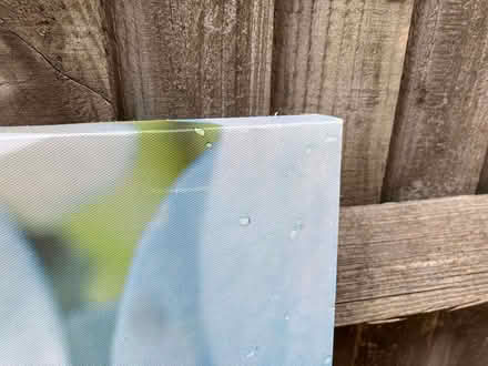 Photo of free Canvas (West Marina TN38) #2