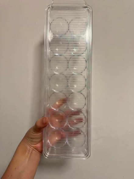Photo of free Egg storage container (Queens Park MK40) #1
