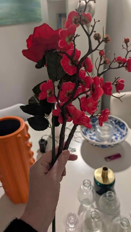 Photo of free Miscellaneous items (East Acton, W37 W3) #4