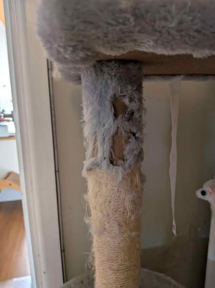 Photo of free Large multi-level cat tree tower (Teddington TW11) #3