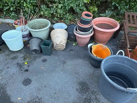 Photo of free Garden plant pots (Great Boughton CH3) #2