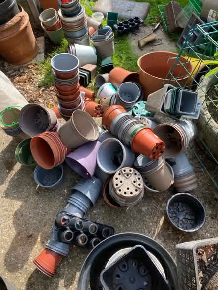 Photo of free Flower pots misc sizes (Hove, BN3) #1