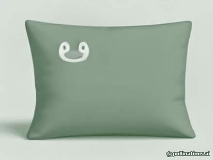 Photo of free 2 pillows, suitable for pet baskets? (White Walls BB8) #1