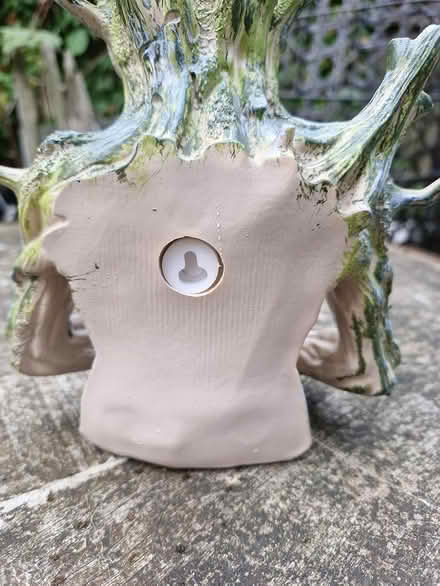Photo of free Bird feeder or drinking water bowl (Denton M34) #3