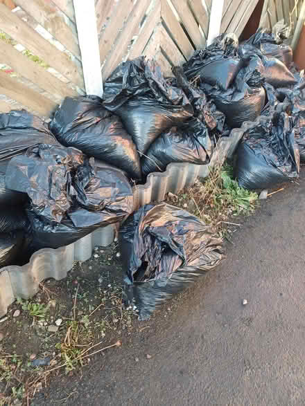 Photo of free Top soil (Beeston LS11) #2