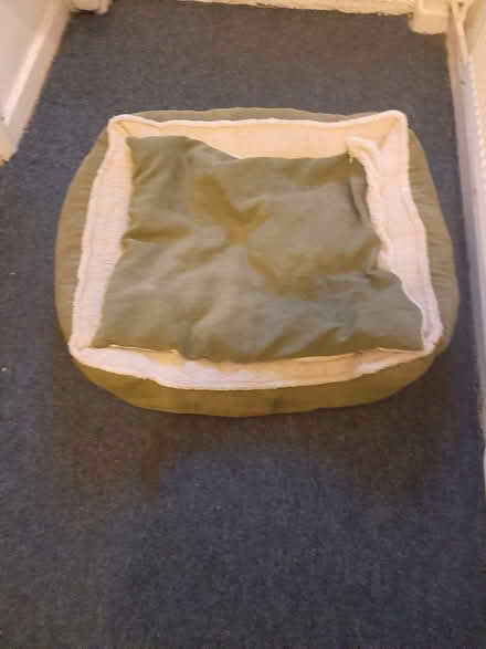 Photo of free Dog bed green (Woodall area) #1