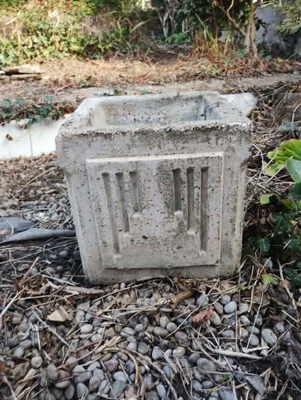 Photo of free Pair of concrete planters. (Deganwy LL30) #1