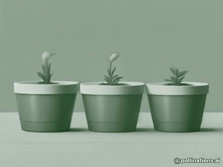 Photo of free Plastic plant pots various sizes (Kempshott RG22) #1