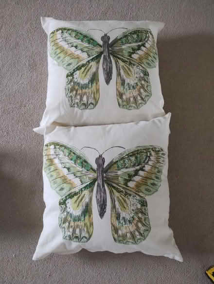 Photo of free Cushions (Arleston DE24) #1