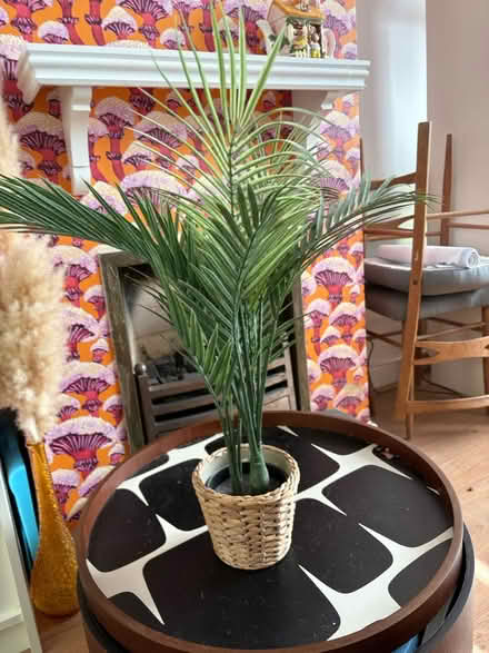 Photo of free Fake plant (Hanwell W7) #1