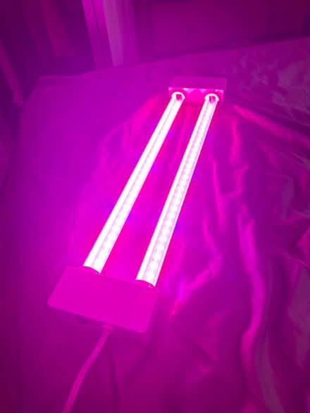 Photo of free Working grow light (Newington Forest) #2