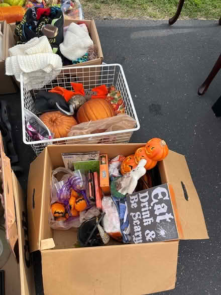 Photo of free Misc decor (Hugo, north of Conrad 14) #3