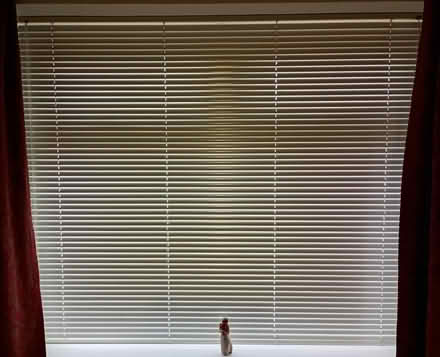 Photo of free Pearl Venetian blinds (Orrell WN5) #2