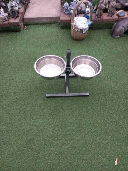 Photo of free Dogs (Loughborough LE11) #1
