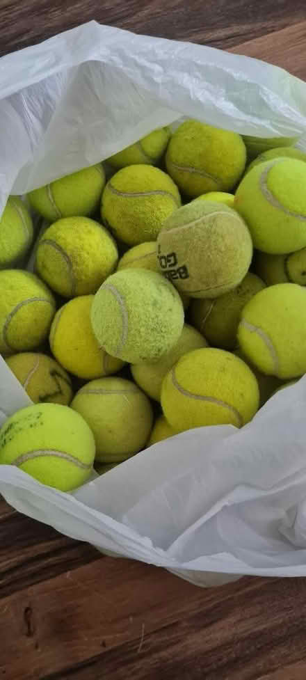 Photo of free Used tennis call (Priestwood RG42) #1