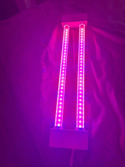 Photo of free Working grow light (Newington Forest) #1