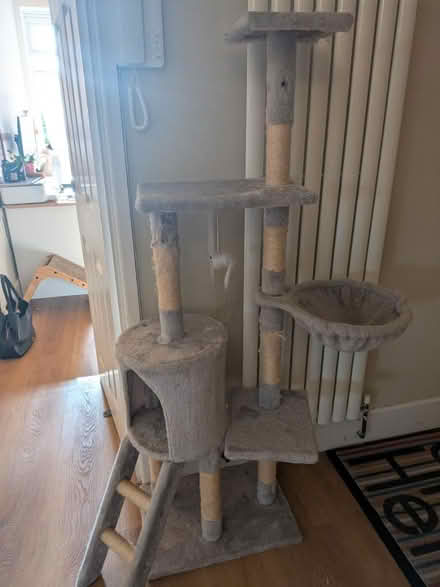 Photo of free Large multi-level cat tree tower (Teddington TW11) #4