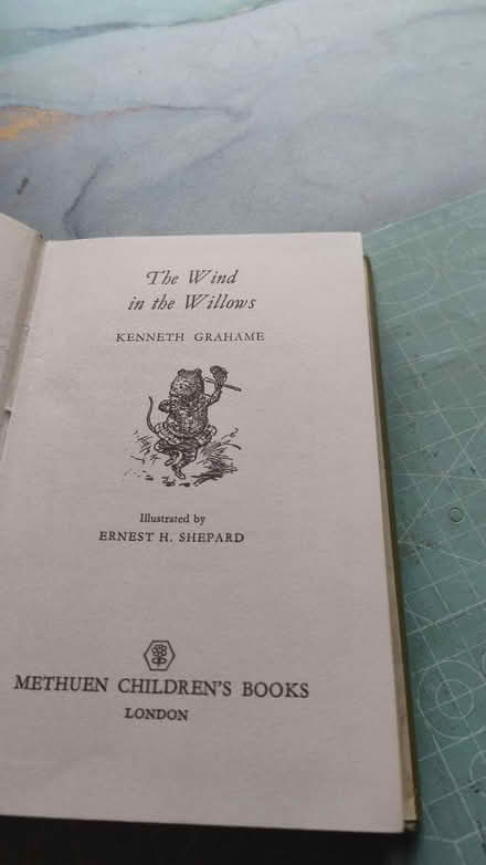 Photo of free Wind in the willows (Chorley centre PR7) #2