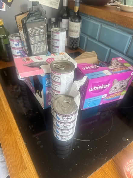 Photo of free Assorted cat food (SW161LZ) #2